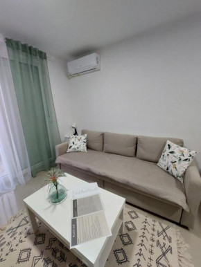 Apartman Mišić